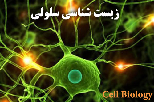 دانلود تحقیق در مورد زیست شناسی سلولی
