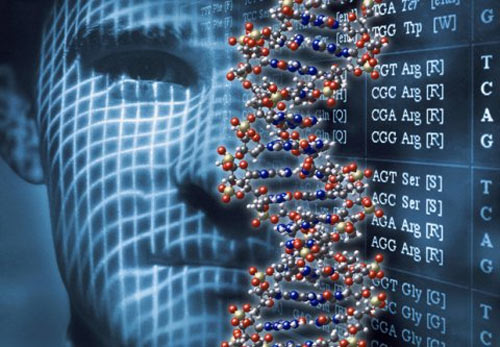 پروژه پایان نامه با عنوان الگوریتم ژنتیک